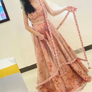 Beautiful New Lehenga! (Size Small)